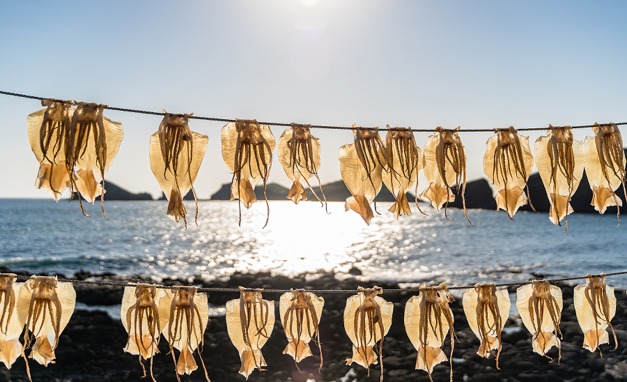 イカのあたりめ・するめ